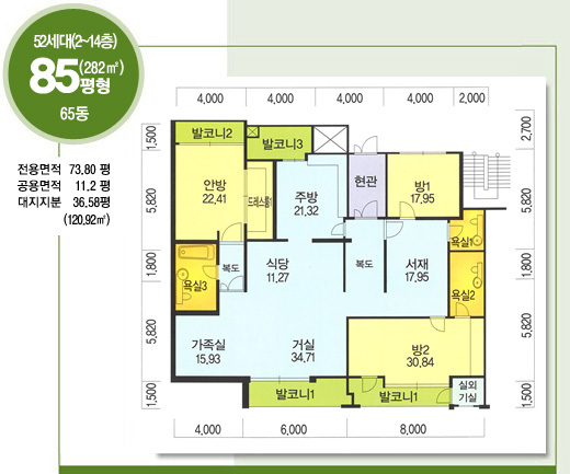 81평형 - 52세대